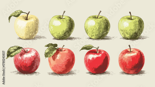 Variety of Apples in a Collection for Red Apple Comparison