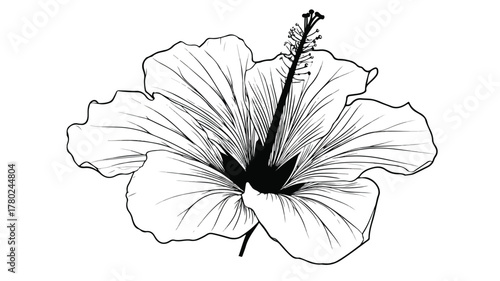 Elegant Flower Drawing with Flowers Word Vector Illustration