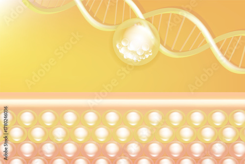 Hyaluronic acid and Niacinamide skin solutions ad, gold collagen serum drops into skin cell with cosmetic advertising background ready to use, illustration vector.	