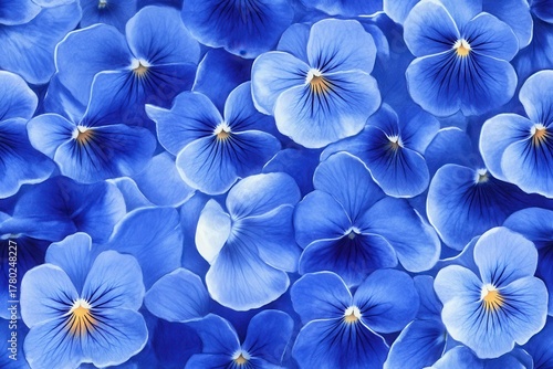 A Stunning Display of Blue Pansy Flowers Displaying Nature's Intricate Patterns and Beauty