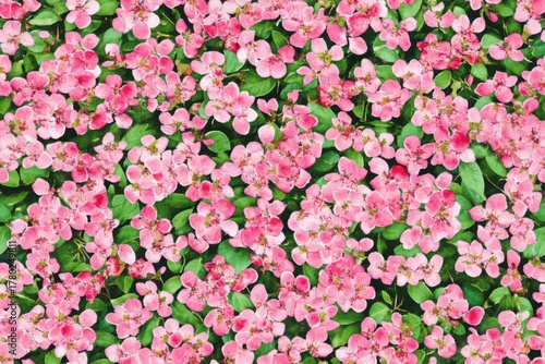 Vibrant Pink Blossoms: A Stunning Close-Up of Nature's Floral Beauty in Full Bloom
