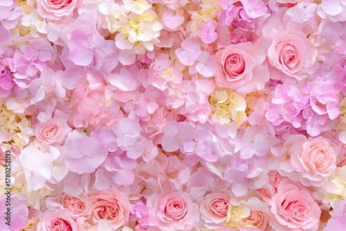 A Beautiful Arrangement of Pink and White Flowers Displaying Nature's Intricate Designs and Vibrant Colors