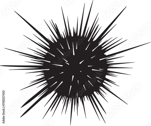 Black Silhouette of a Sea Urchin spiky marine life