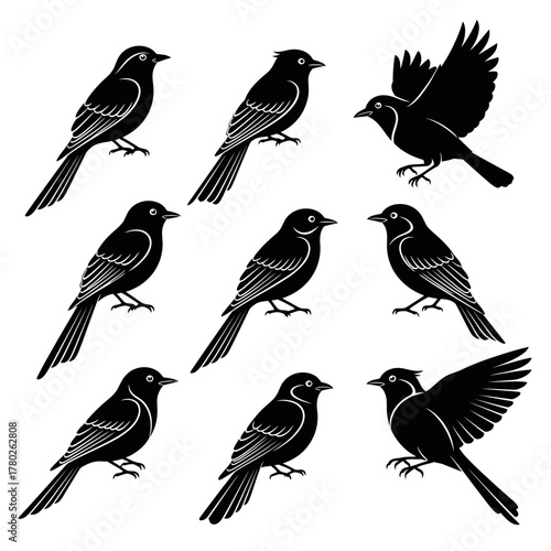 "Black Bird Silhouette Clipart – Songbird Vector Illustration Set"