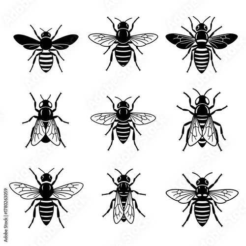 "Black and White Bee Icons – Detailed Insect Vector Set"