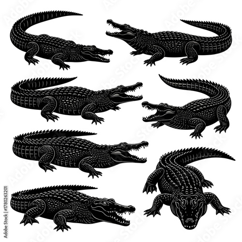 "Alligator Silhouette Clipart Set – Black Crocodile Vector Illustrations"