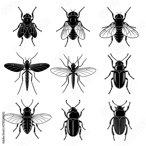 "Black and White Bee Icons – Detailed Insect Vector Set"