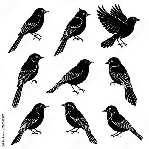 "Black Bird Silhouette Clipart – Songbird Vector Illustration Set"