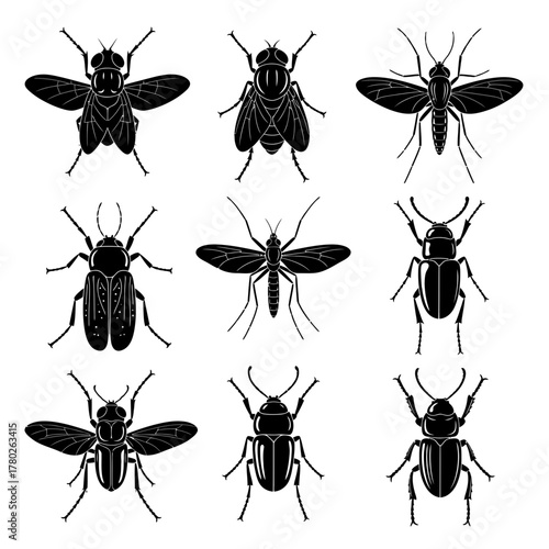 "Black and White Bee Icons – Detailed Insect Vector Set"
