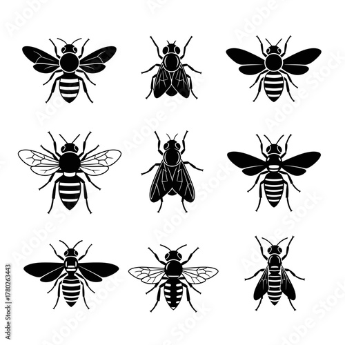 collection of insects