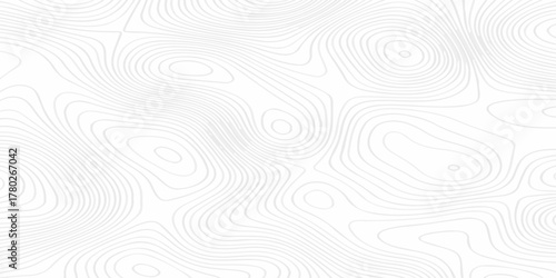 Modern topo map design White background with topographic world grid wave Topographic map geographic line texture.	