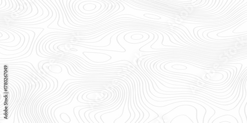 Abstract minimal pattern discovery vector topo map creative discovery. White wave grid stripe line map topography. vector geographic contour mounted map background.	