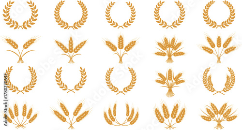 Agriculture. Wheat or barley ears. Harvest wheat grain, growth rice stalk and bread grains isolated vector set. Harvest wheat grain, growth rice stalk and whole bread grains. EPS version.