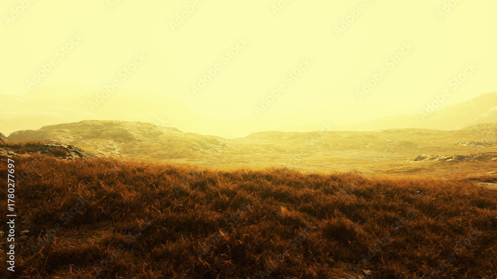 Obraz premium A tranquil valley stretches out under a golden haze, with soft grass swaying gently. Faint mountains rise in the background, creating a peaceful atmosphere at dawns early light.