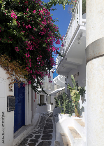 Fototapeta Naklejka Na Ścianę i Meble -  Charming white-walled streets of Mykenos