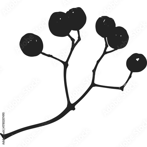 Delicate Dark Berry Branch Silhouette With Multiple Round Berries Isolated On White Background