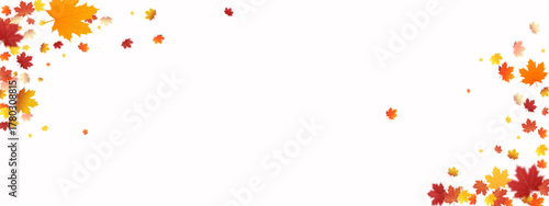 Elegant vector illustration of leaf red oak, birch, and maple leaves in soft natural light. Perfect for autumn-themed designs, with full transparency for easy layering.