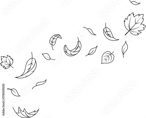 Hand drawn autumn leaves falling set in doodle style with maple leaf outline isolated on transparent background.
