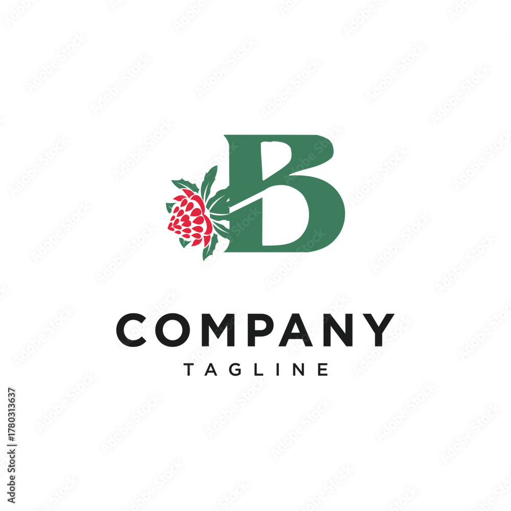 Fototapeta premium Letter B Waratah Logo Icon Vector