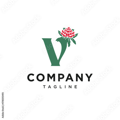 Letter V Waratah Logo Icon Vector