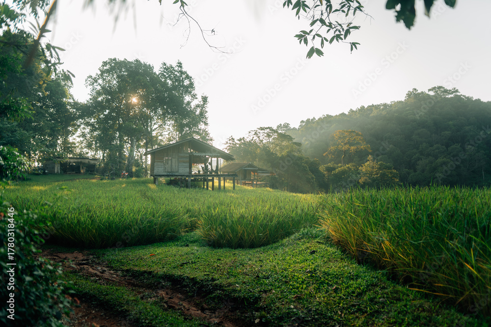 Naklejka premium The scenery and tranquility of the huts and rice fields in the morning