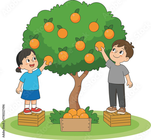 Children harvesting oranges, cartoon fruit picking scene, teamwork outdoors, orange tree illustration, kids on crates, cheerful farm activity, ripe citrus fun