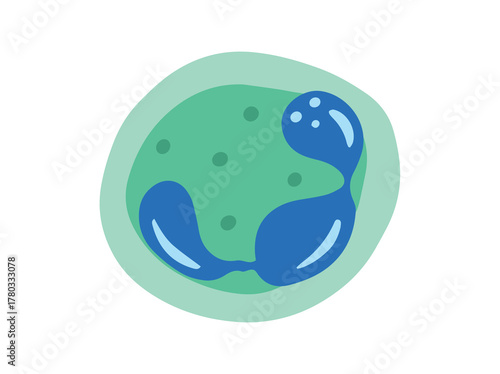 Neutrophil White Blood Cell Illustration
