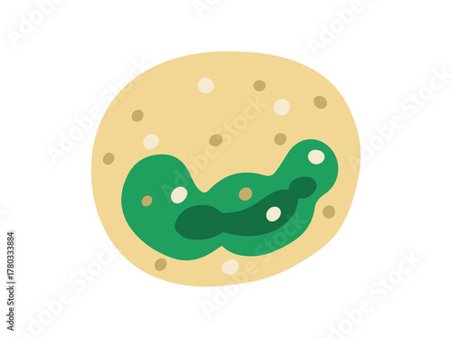 Basophil White Blood Cell Illustration
