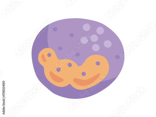 Basophil White Blood Cell Illustration
