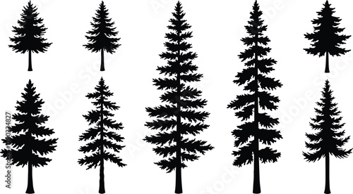 Conifer tree silhouettes, evergreen forest icons, pine tree shapes, nature graphic elements, black tree illustration set, botanical vector trees
