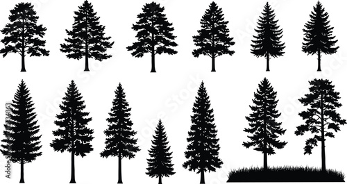 Conifer tree silhouettes, evergreen forest shapes, pine tree icons, nature illustration set, black vector trees, botanical graphic elements, landscape design