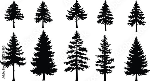 Conifer tree silhouettes, black pine shapes, evergreen forest icons, botanical tree forms, nature elements, isolated trees, vector illustration set