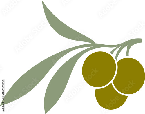olive oil simple vector logo on vector illustration of olives with leaves