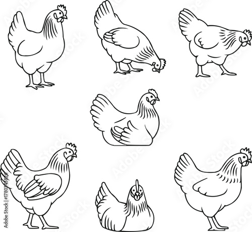Country Farm Hen Illustration Pack  Six Chicken Outlines in Rustic Line Art Style