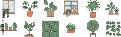 Collection of potted plants and trees in cartoon style houseplant indoor plant