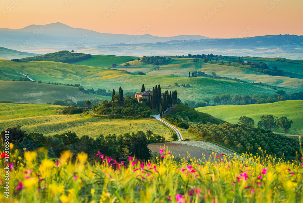 Naklejka premium Val d'Orcia, Tuscany. Podere in San Quirico d'Orcia, beautiful spring tuscan landscape in Italy.