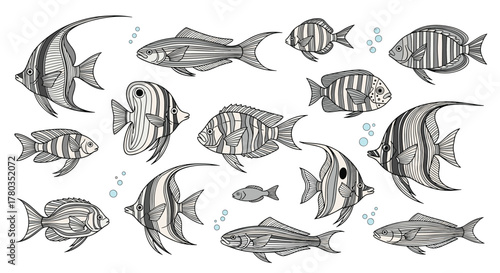 Diverse collection of marine fish is illustrated in a detailed, vintage engraving style, featuring various species of tropical fish.