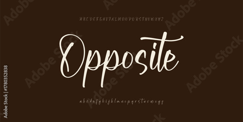 Hand drawn vector alphabet. Modern monoline signature script font. Elegant Signature Font. Best Alphabet Beautiful Calligraphy Signature Font lettering