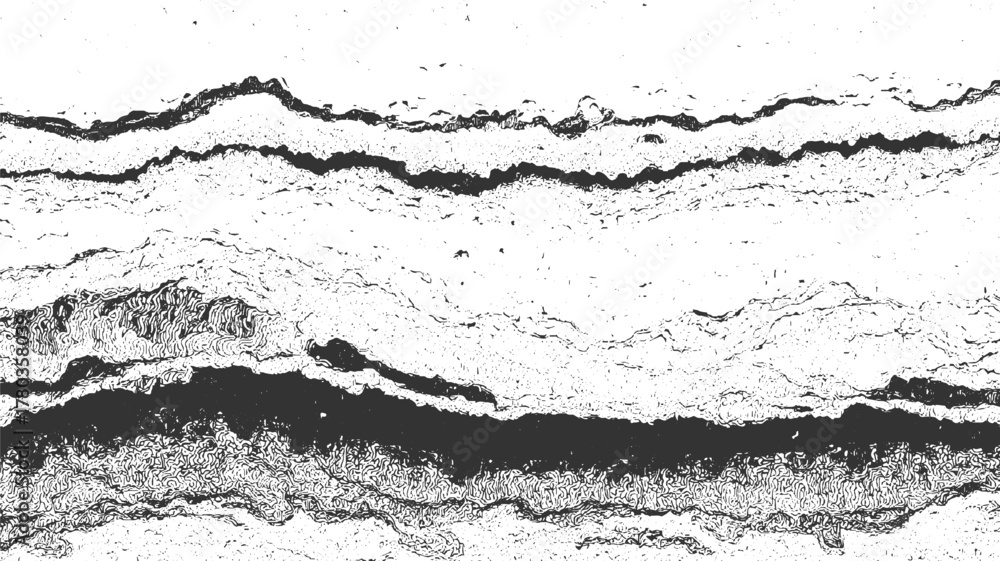 Fototapeta premium Abstract black and white textured background with wavy lines and speckles vector