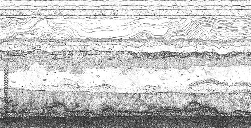 Black and white cross section of geological strata with wavy lines and stippled textures geology layers