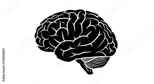 Black silhouette of a human brain