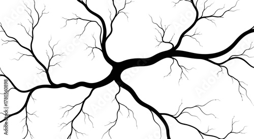 Abstract branching structure resembling tree or neuron