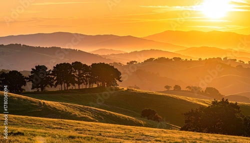Wallpaper Mural Golden Hour Serenity Scenic Rolling Hills Landscape with Silhouetted Trees and Warm Sunlight Torontodigital.ca