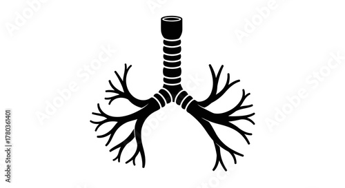 Black silhouette of human lungs and trachea