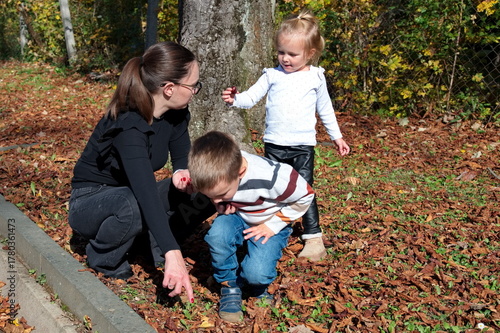 Mother and children picking chestnuts in the forest