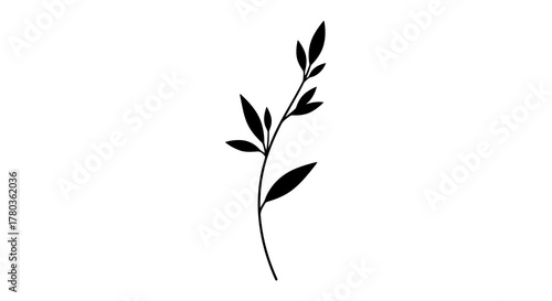 Black plant stem with leaves