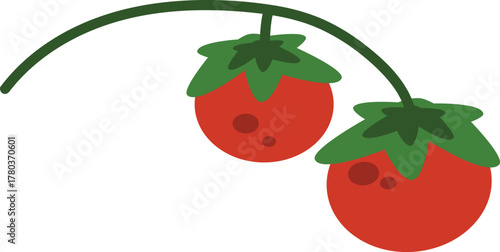  Cute flat design vector illustration of two red berries hanging on a green vine fresh summer fruit garden produce icon isolated on black background