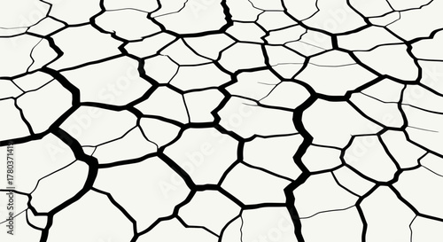 Cracked dry earth texture