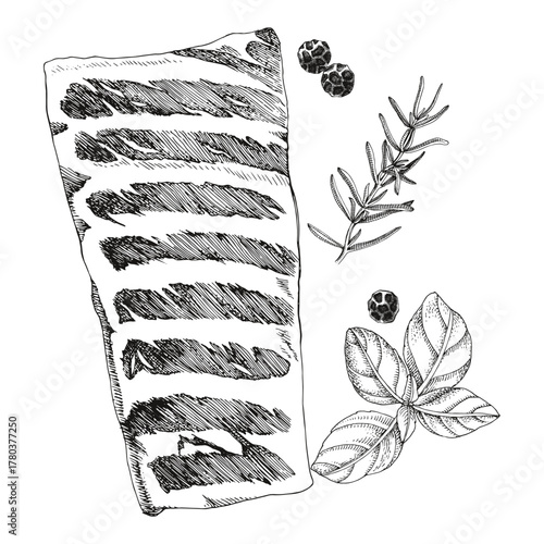 Raw pork spareribs sketched vector