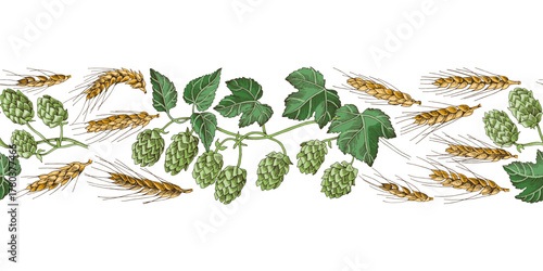 Hop and malt seamless border vector